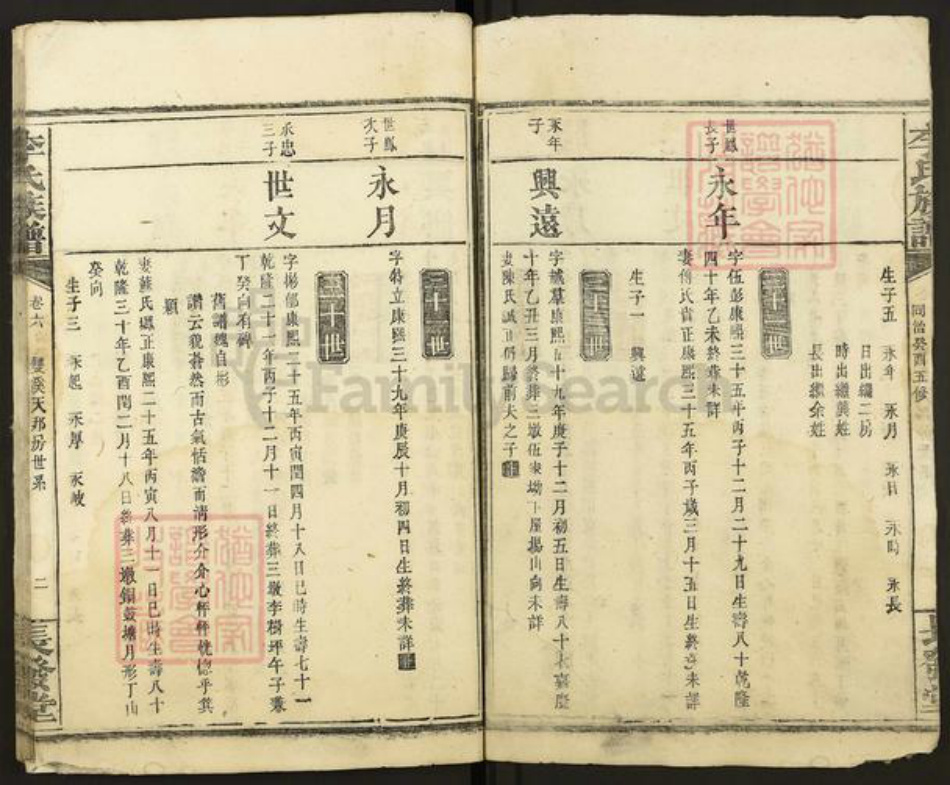 湖南省岳阳市平江县南江镇李氏长发堂族谱-李氏族谱.pdf电子版插图2