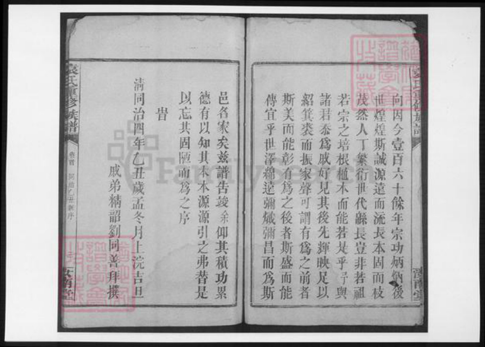 江西省赣州市信丰县袁氏族谱-袁氏重修族谱.pdf电子版插图4