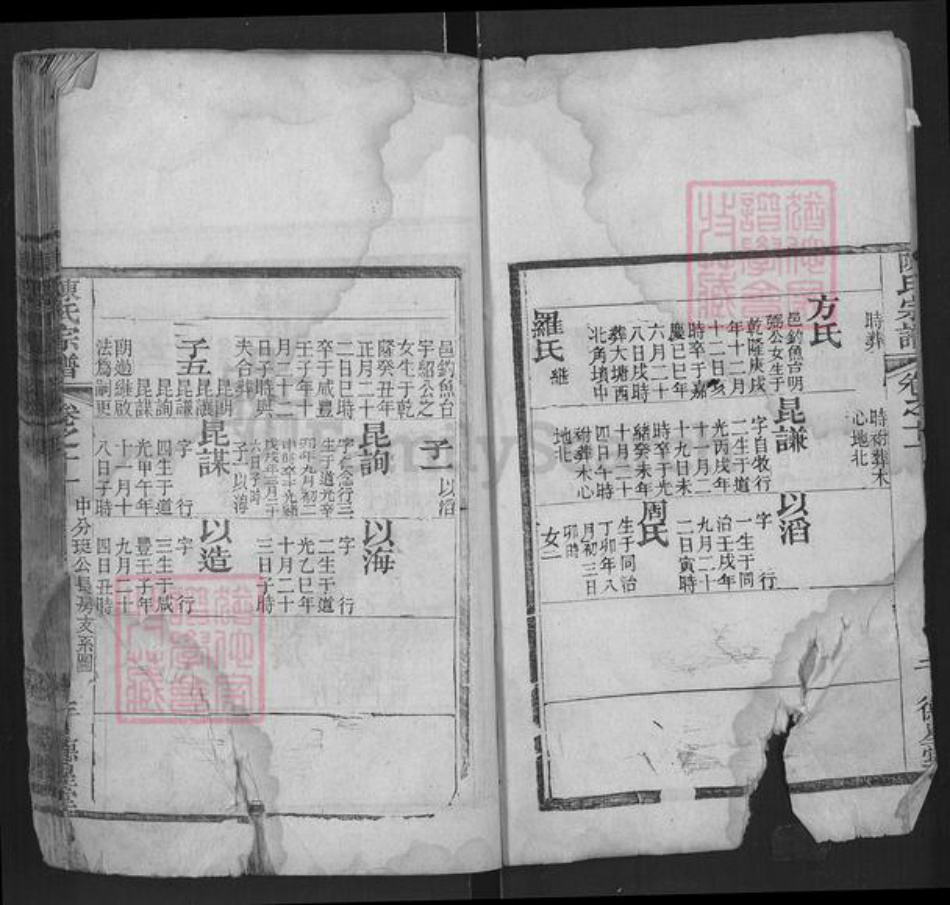 湖北省黄冈市红安县陈氏德星堂族谱-陈氏宗谱.pdf电子版插图3