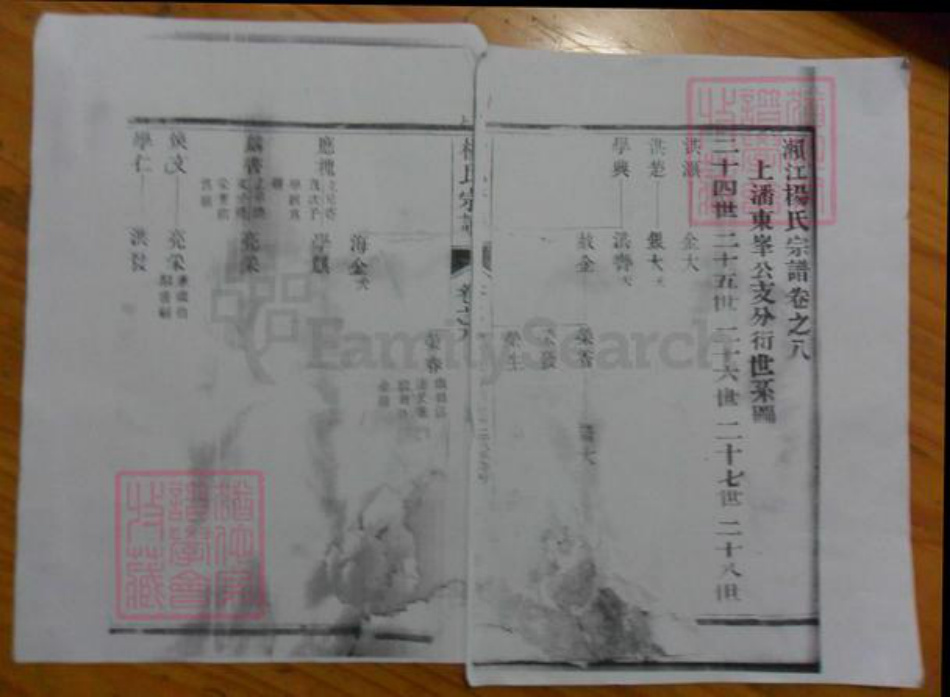 广东省杨氏族谱-濑江杨氏宗谱.pdf电子版