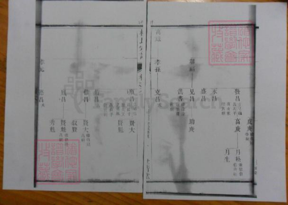 广东省杨氏族谱-濑江杨氏宗谱.pdf电子版插图1