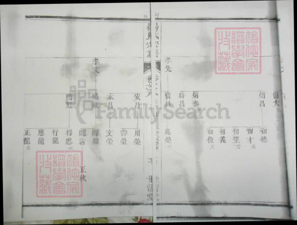 广东省杨氏族谱-濑江杨氏宗谱.pdf电子版插图2