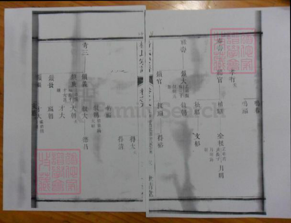 广东省杨氏族谱-濑江杨氏宗谱.pdf电子版插图3