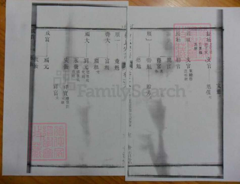 广东省杨氏族谱-濑江杨氏宗谱.pdf电子版插图4
