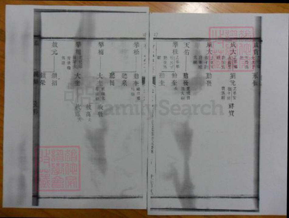 广东省杨氏族谱-濑江杨氏宗谱.pdf电子版插图5