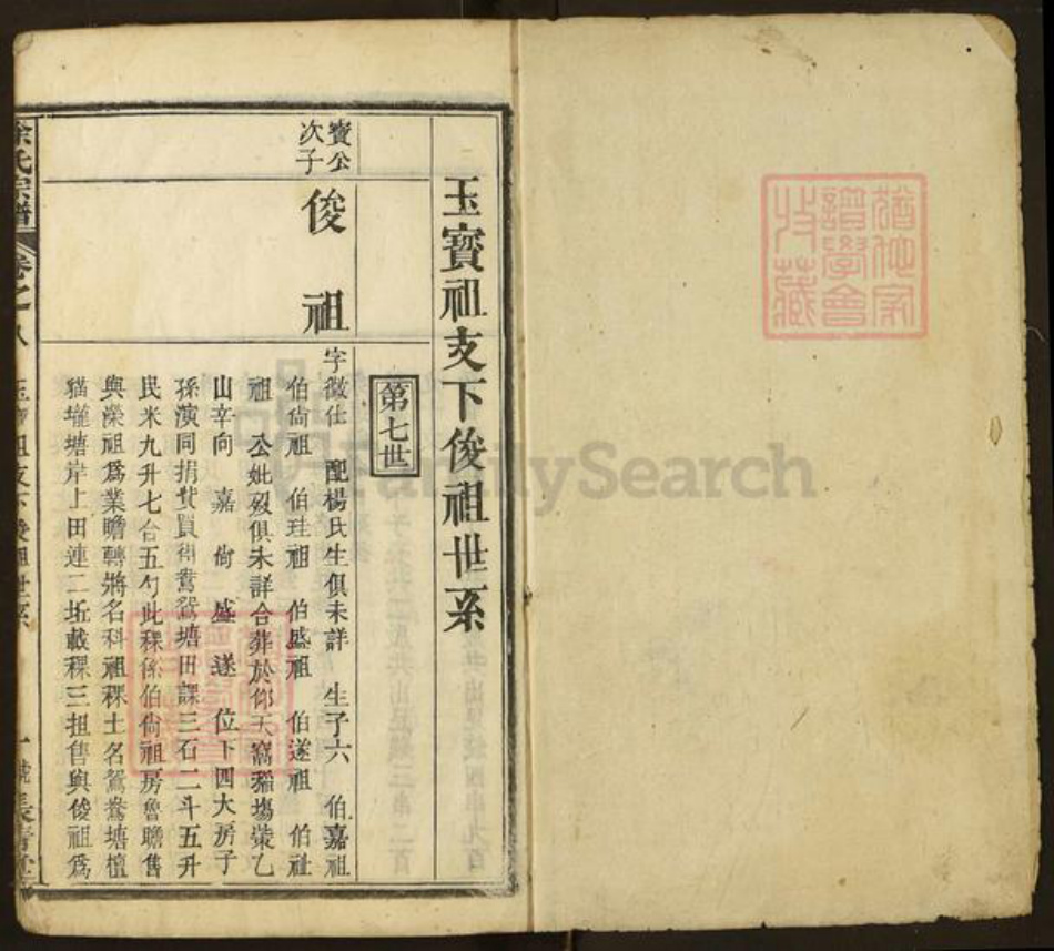 湖北省黄冈市红安县徐氏族谱-徐氏宗谱(长青堂).pdf电子版插图1