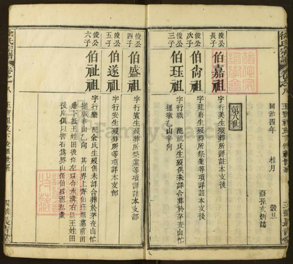 湖北省黄冈市红安县徐氏族谱-徐氏宗谱(长青堂).pdf电子版插图4