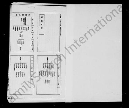 中国阿氏族谱-阿姓家谱：照屋支派.pdf电子版插图1