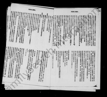 中国阿氏族谱-阿姓家谱：照屋支派.pdf电子版插图3