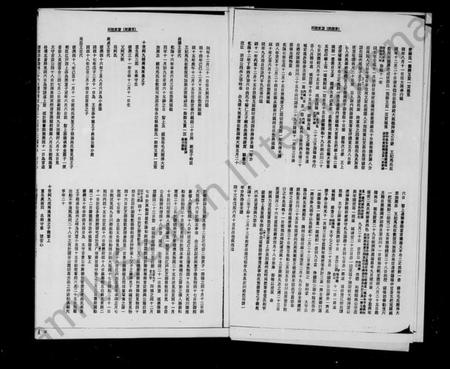 中国阿氏族谱-阿姓家谱：照屋支派.pdf电子版插图4