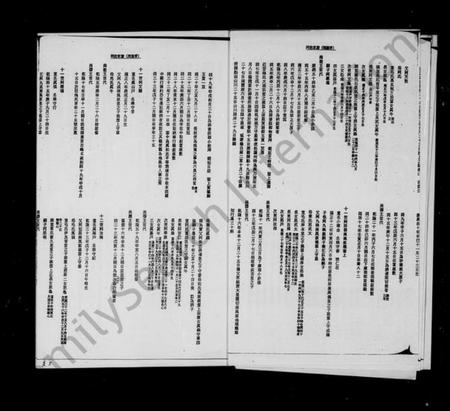 中国阿氏族谱-阿姓家谱：照屋支派.pdf电子版插图5