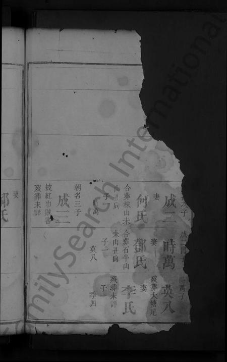 湖南艾氏族谱-艾氏重修族谱[总卷数不详].pdf电子版插图4