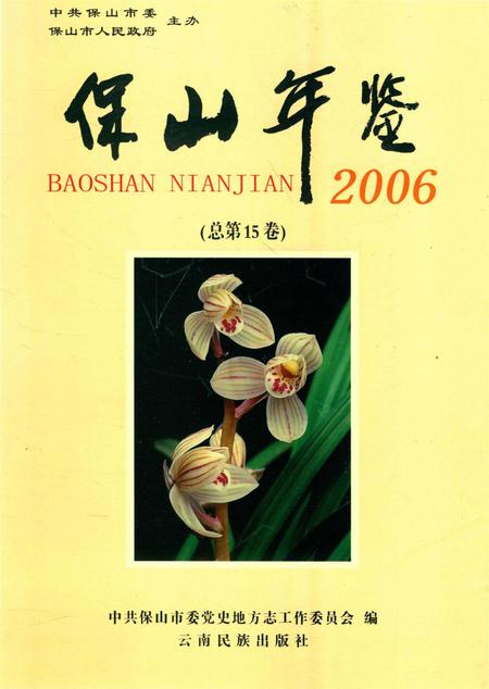 保山年鉴2006.pdf电子版_云南省志