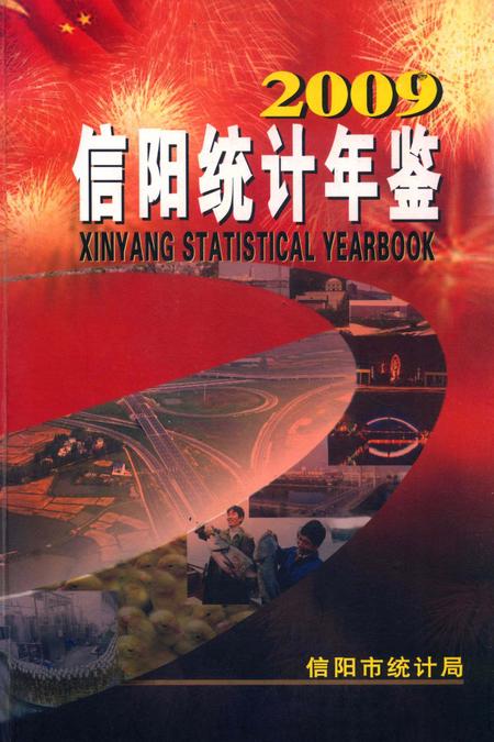 信阳统计年鉴2009.pdf电子版_河南省志