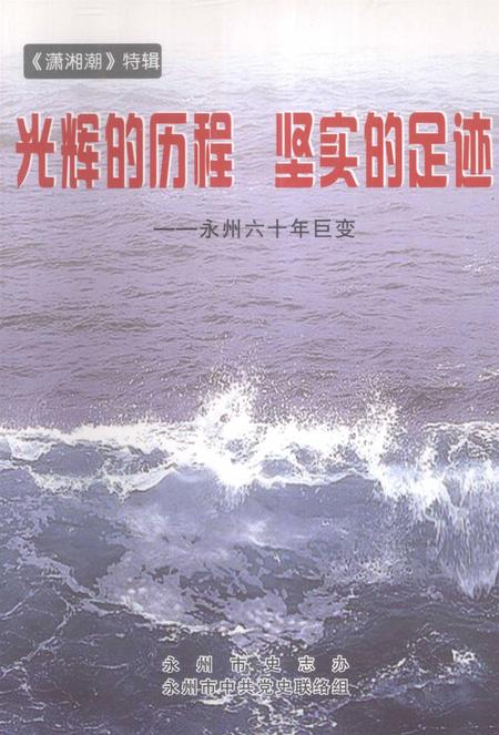 光辉的历程 坚实的足迹——永州六十年巨变.pdf电子版_湖南省志缩略图