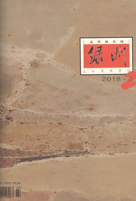 新疆绿洲2018年第02期.pdf电子版_新疆维吾尔族自治区志