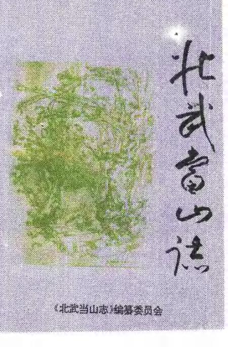 北武当山志.pdf电子版_其他志