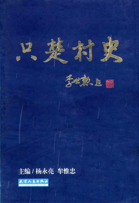 只楚村史.pdf电子版_山东省志