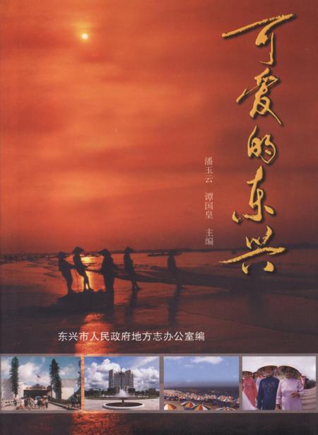 可爱的东兴.pdf电子版_广西壮族自治区志缩略图