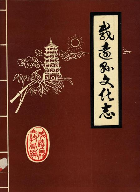 四川省威远县地方志（部门志）丛书 威远县文化志.pdf电子版_四川省志