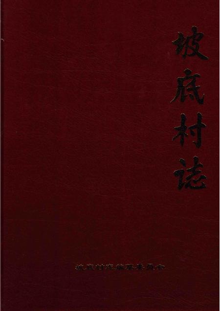 坡底村志.pdf电子版_河南省志