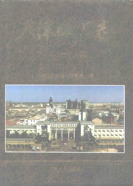 天津碱厂志  1917-1992.pdf电子版_天津市志