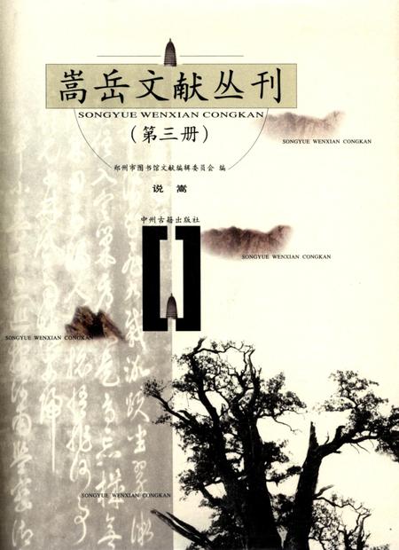 嵩岳文献丛刊（第一册）.pdf电子版_河南省志