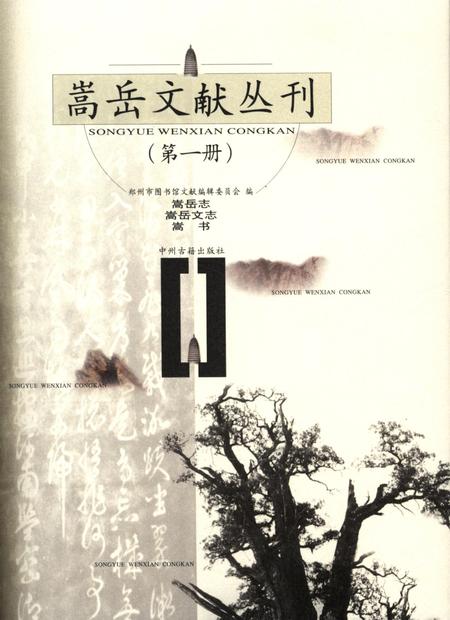嵩岳文献丛刊（第二册）.pdf电子版_河南省志