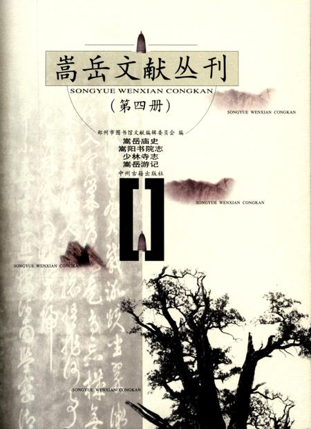 嵩岳文献丛刊（第四册）.pdf电子版_河南省志