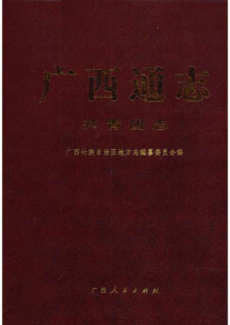 广西通志  共青团志.pdf电子版_广西壮族自治区志缩略图