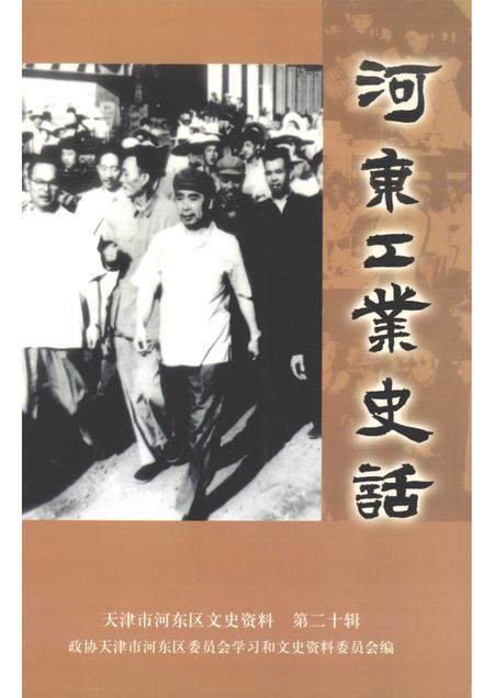 河东工业史话  河东区文史资料  第20辑.pdf电子版_天津市志