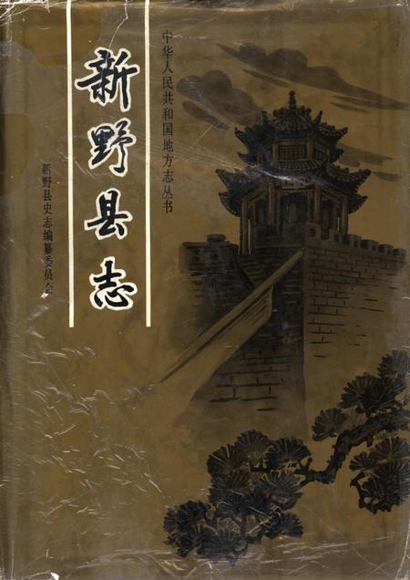 新野县志1991.pdf电子版_河南省志