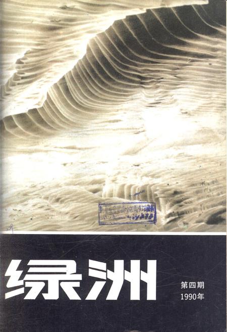 新疆绿洲1990年第04期.pdf电子版_新疆维吾尔族自治区志