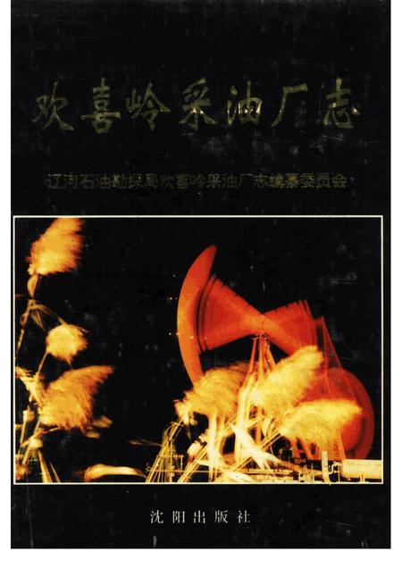欢喜岭采油厂志  1976-1988.pdf电子版_辽宁省志