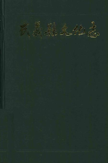 武义县文化志.pdf电子版_浙江省志
