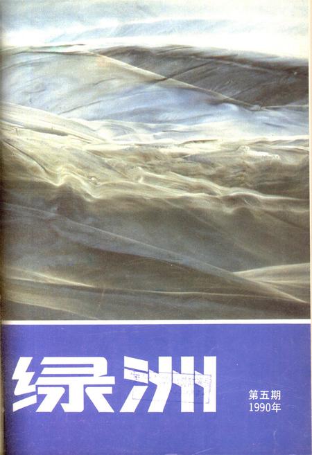 新疆绿洲1990年第05期.pdf电子版_新疆维吾尔族自治区志