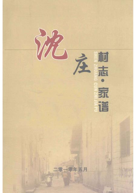 沈庄村志家谱.pdf电子版_河南省志