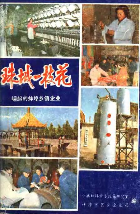 珠城一枝花  崛起的蚌埠乡镇企业.pdf电子版_安徽省志缩略图