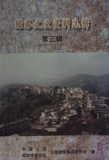 绿春文史资料选辑（第三辑）.pdf电子版_云南省志