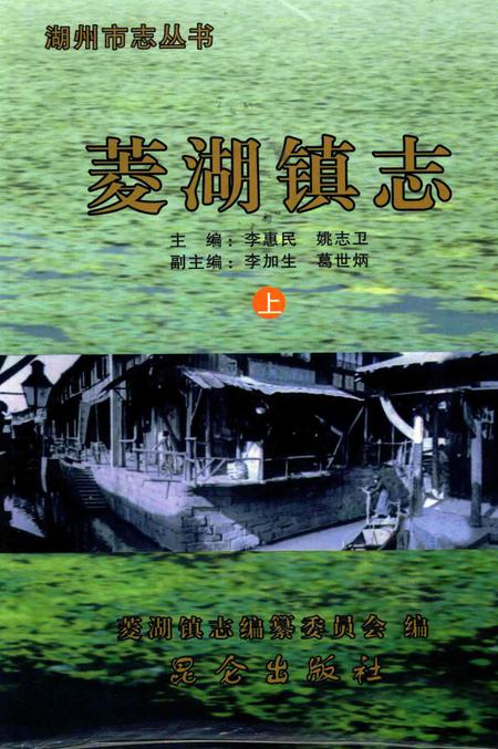 菱湖镇志-上.pdf电子版_浙江省志