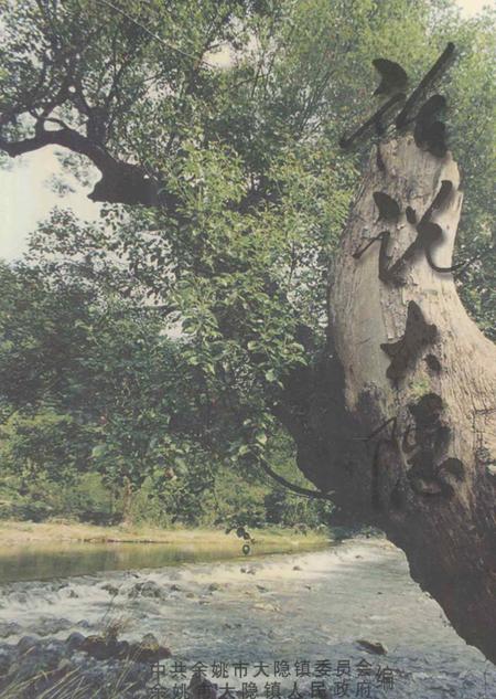 话说大隐.pdf电子版_浙江省志