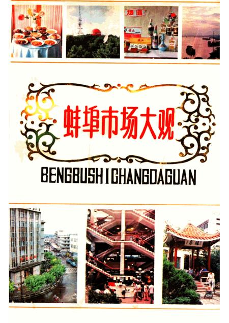 蚌埠市场大观.pdf电子版_安徽省志