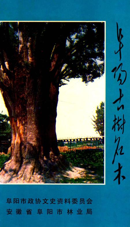 阜阳古树名木.pdf电子版_安徽省志