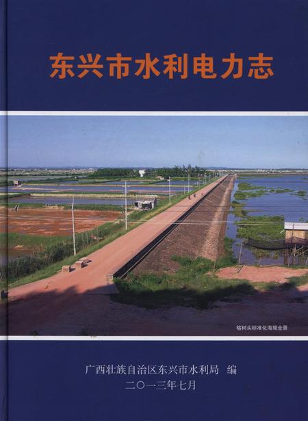 东兴市水利电力志.pdf电子版_广西壮族自治区志