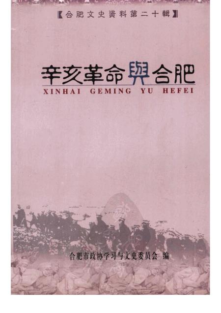 辛亥革命与合肥  第20辑.pdf电子版_安徽省志