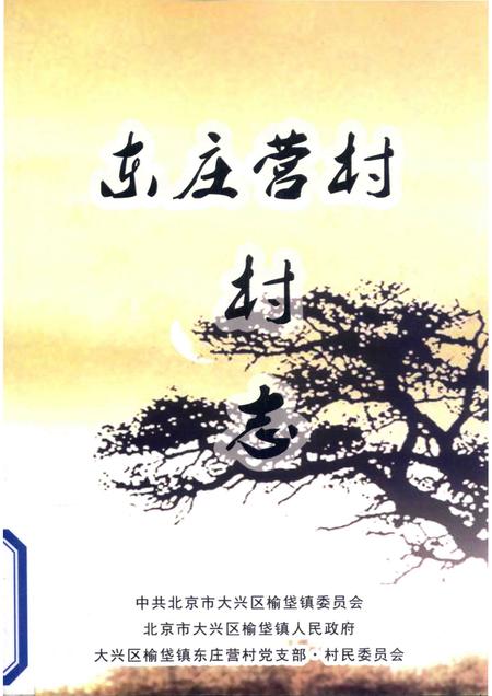 东庄营村村志.pdf电子版_北京市志