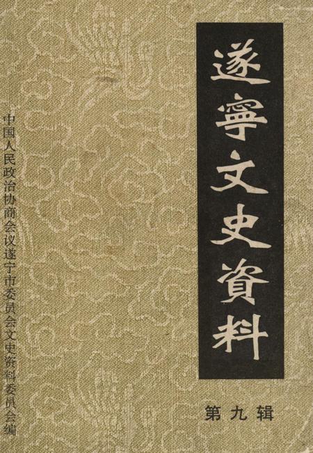 遂宁文史资料第九辑.pdf电子版_四川省志