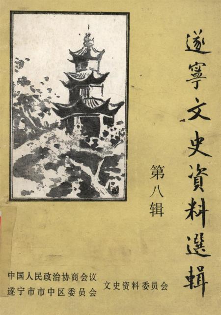 遂宁文史资料选辑第八辑.pdf电子版_四川省志