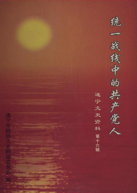 遂宁文史资料（第十六辑）.pdf电子版_四川省志