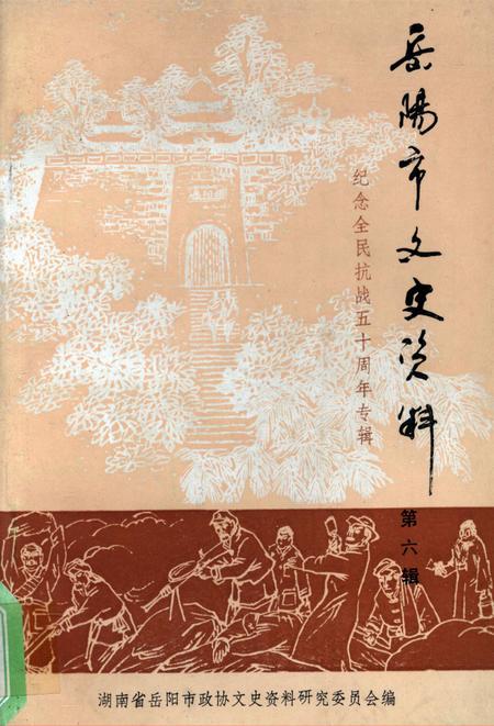 岳阳市文史资料第六辑.pdf电子版_湖南省志